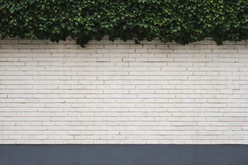 Brick Whitewash And Limewash